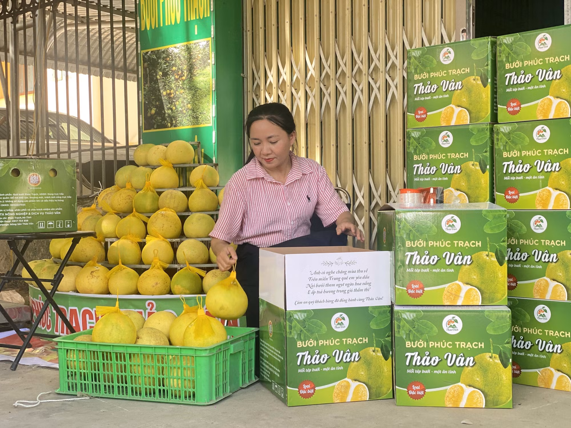Bưởi Phúc Trạch được đóng gói để chuyển tới tay người tiêu dùng.