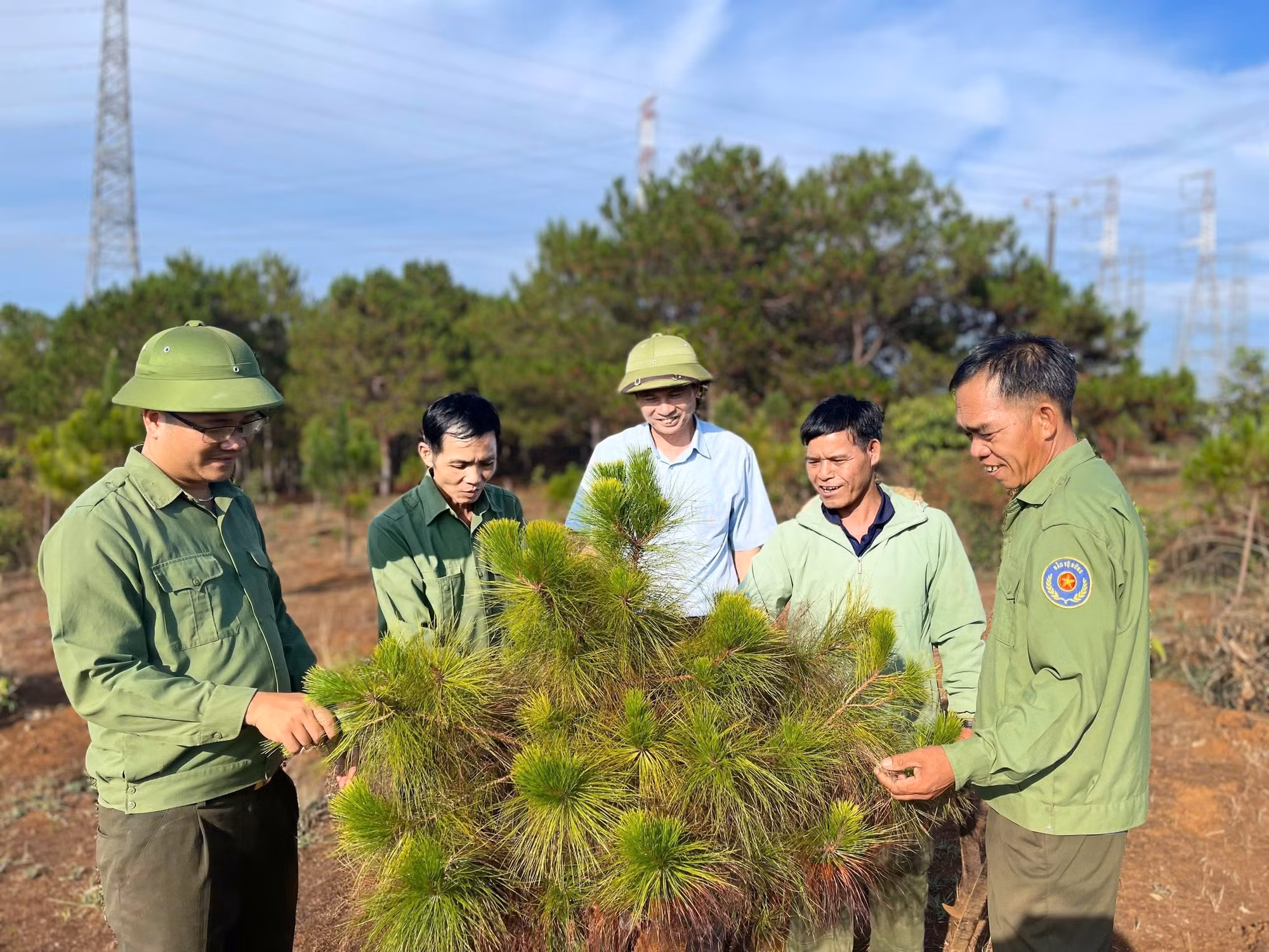 Lực lượng kiểm lâm cùng chính quyền địa phương tỉnh Gia Lai kiểm tra sinh trưởng của cây. Ảnh: Hồng Điệp - TTXVN