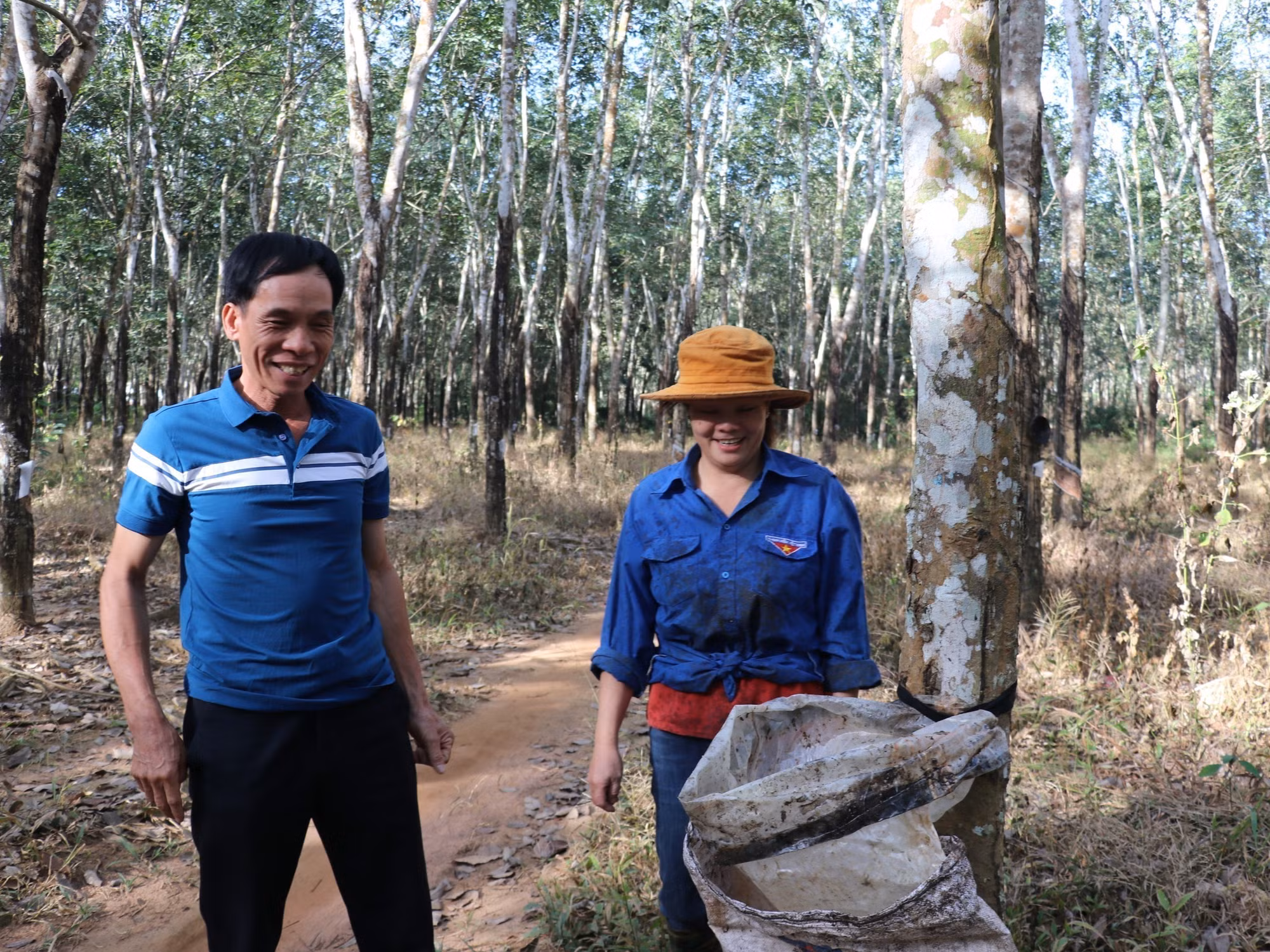 Nhờ cạo mủ cao su, gia đình chị Nông Thị Thảo hơn 10 năm đã có cuộc sống ổn định.