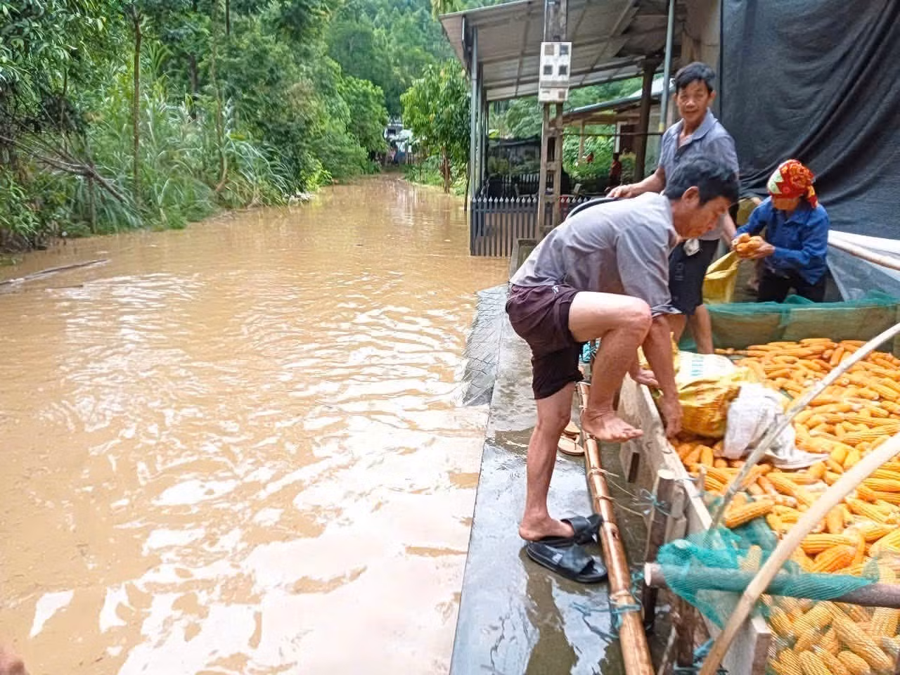 Mưa lớn gây ngập úng cục bộ tại xã Thượng Hà, tỉnh Lào Cai, gây ảnh hưởng đến đời sống, sản xuất, sinh hoạt của nhân dân. Ảnh: TTXVN phát