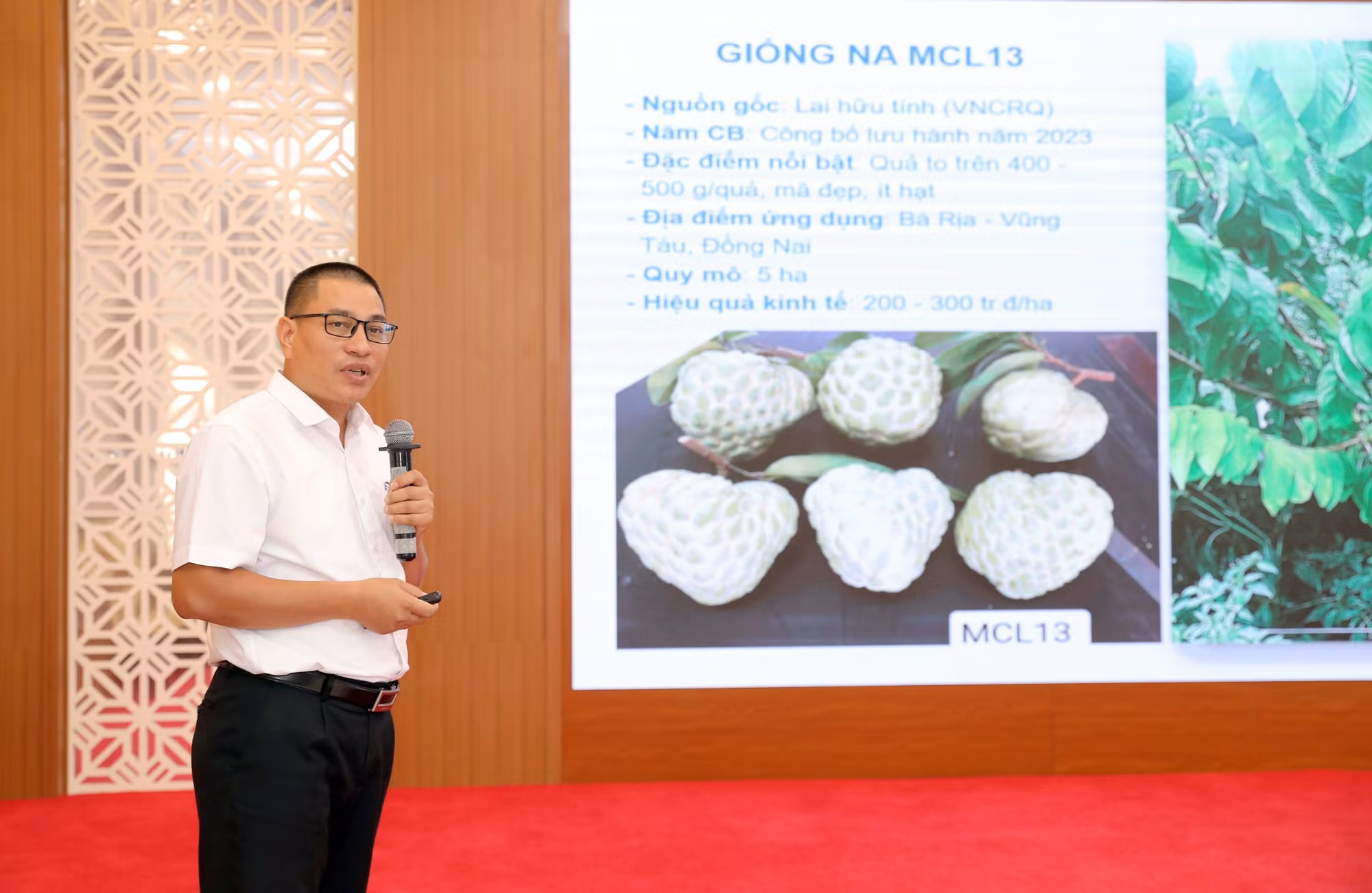Phó Giám đốc Trung tâm nghiên cứu và phát triển cây có múi (Viện nghiên cứu Rau quả) Cao Văn Chí trình bày tham luận tại diễn đàn. Ảnh: Hoàng Hùng/TTXVN