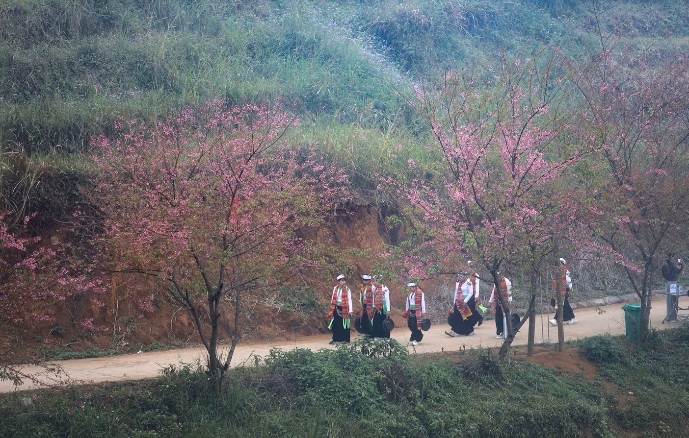 Sắc hồng của mai anh đào cùng những nét văn hoá trang phục dân tộc Mường tạo nên những điểm nhấn riêng biệt của du lịch xóm Mừng.