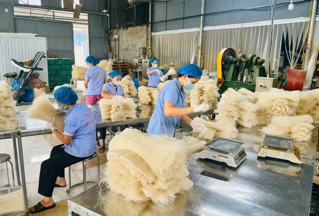 Sản xuất mì gạo tại Hợp tác xã mỳ gạo Hùng Lô, xã Vân Phú, tỉnh Phú Thọ. Ảnh: Nguyễn Thảo/TTXVN