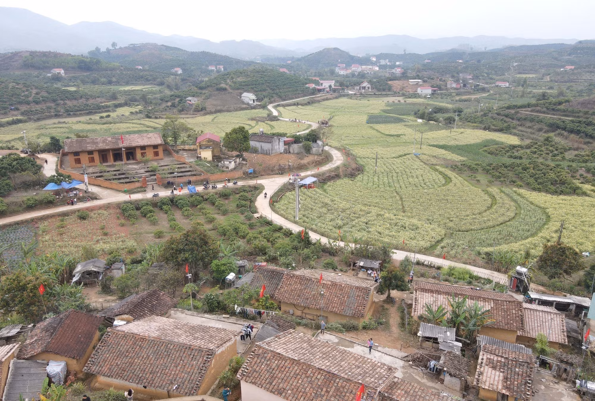 Bản Bắc Hoa tại , xã Tân Sơn (Bắc Ninh).