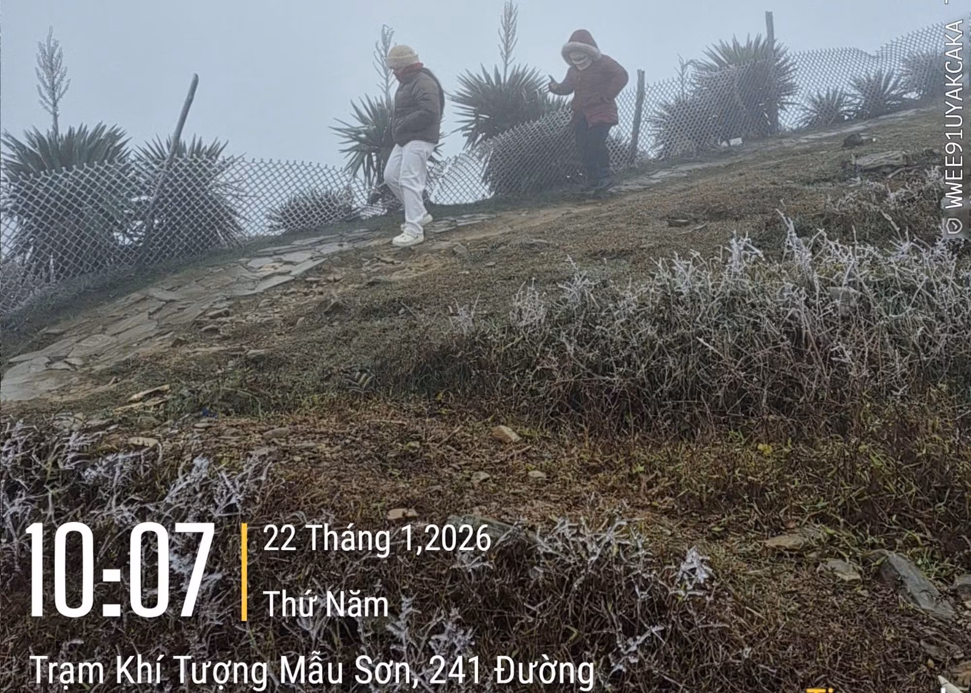 Sáng 22/1/2026, nhiệt độ tại Mẫu Sơn, tỉnh Lạng Sơn đo được ở mức 0.2 độ C và đã bắt đầu xuất hiện hiện tượng băng giá. Ảnh: TTXVN phát