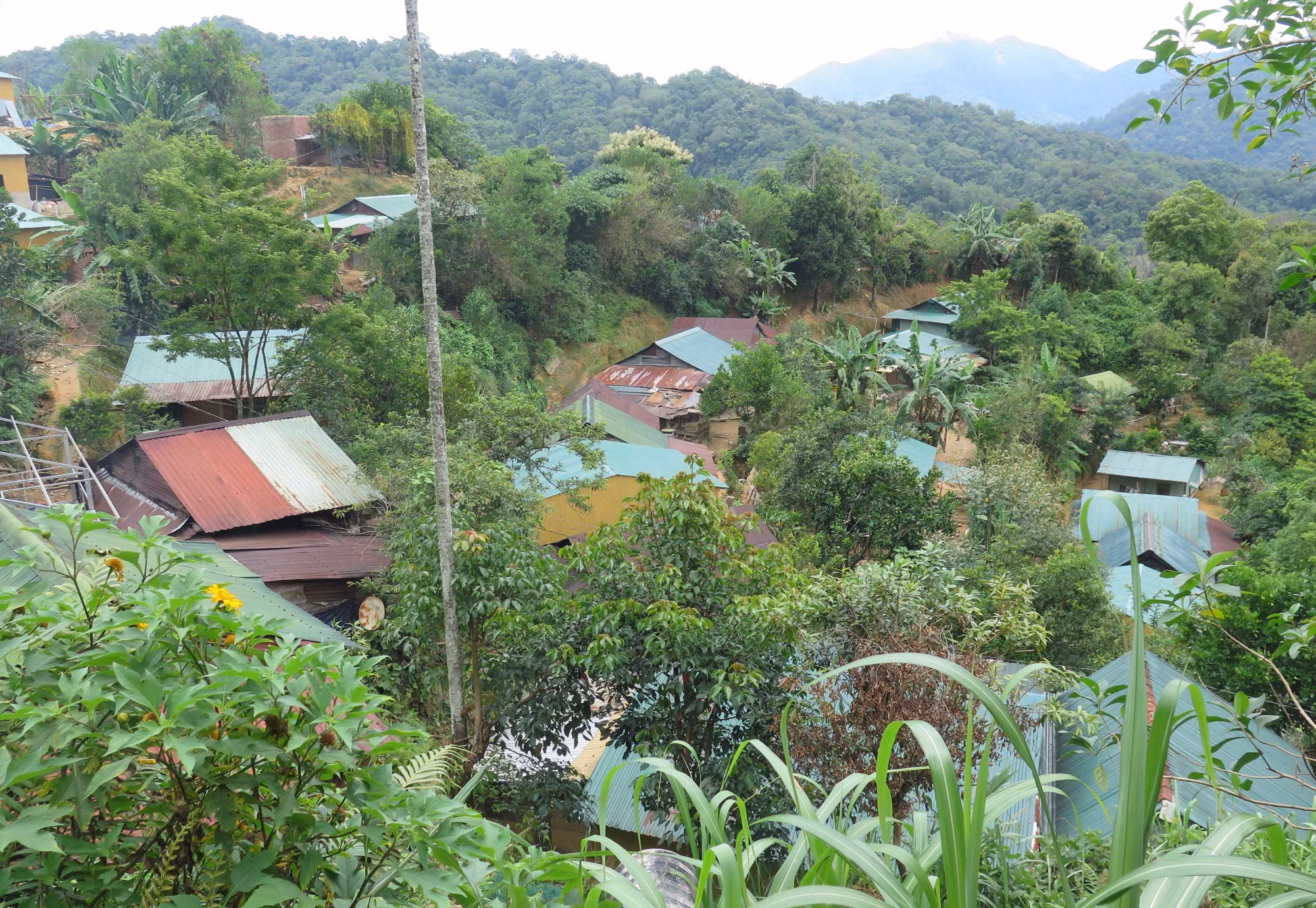 nha-tam-06062025-01.jpg