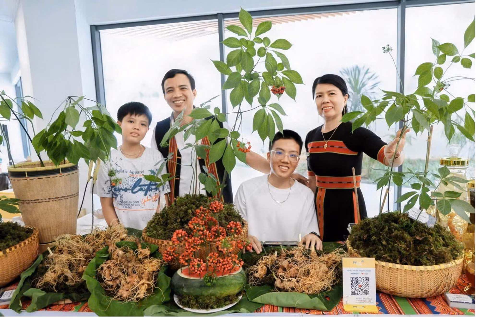 Giới thiệu và quảng bá sâm Ngọc Linh tại Lễ hội Sâm Ngọc Linh và Dược liệu quốc tế Đà Nẵng 2026.