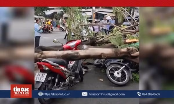 Đang chờ người thân khám bệnh, người đàn ông bị cây đổ đè tử vong 