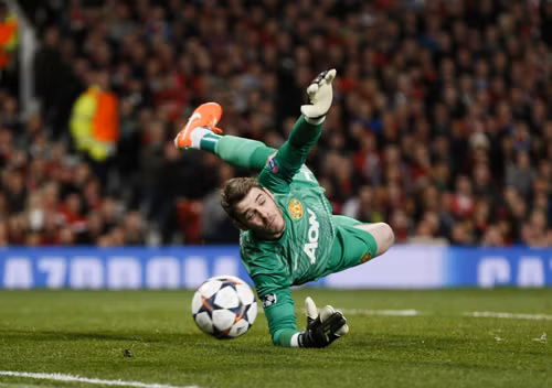 'Lá chắn thép' David De Gea ảnh 1