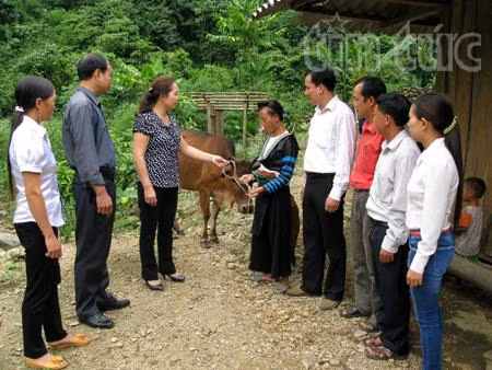 'Dân vận khéo' đổi thay xã vùng cao Yên Bái ảnh 2