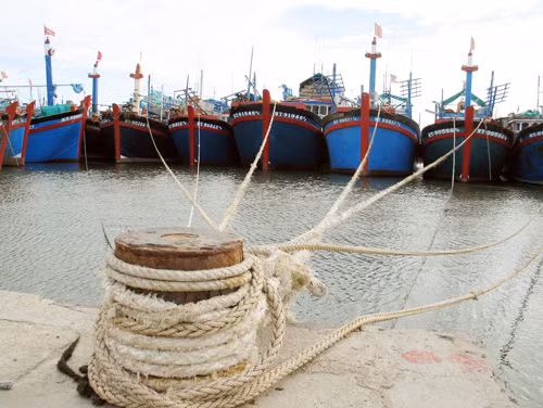 Khẩn trương ứng phó với bão số 5 ảnh 1