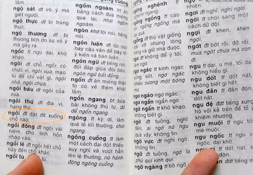 Xử lý sai phạm liên quan tới cuốn từ điển của tác giả Vũ Chất ảnh 1