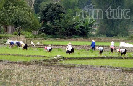 'Dân vận khéo' đổi thay xã vùng cao Yên Bái ảnh 1