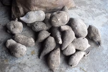 Tràn lan các loại hoa quả, củ lạ ngâm rượu ở vùng cao ảnh 1