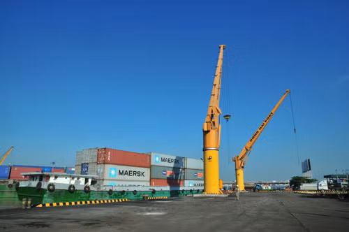 Cảng Đồng Nai nỗ lực xây dựng chuỗi cung ứng trọn gói ảnh 1