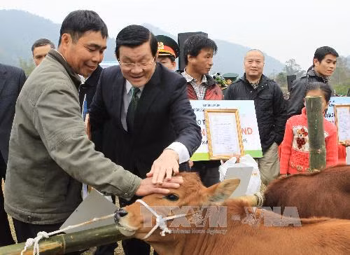 Chủ tịch nước trao tặng bò giống giúp đồng bào nghèo biên giới ảnh 1