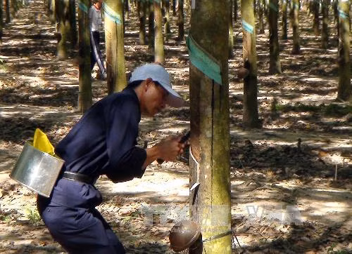 VRG kiến nghị gia hạn cổ phần hóa Công ty mẹ - Tập đoàn ảnh 1
