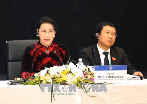 Thông qua chương trình nghị sự và chương trình hoạt động của APPF-26 ảnh 1