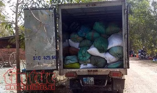 Mang 20 tấn chất thải thuộc da hôi thối đi đổ trộm ảnh 1