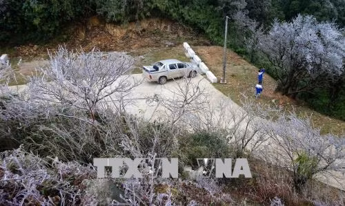 Xuất hiện băng giá trên đỉnh núi Phia Oắc, Cao Bằng ảnh 7