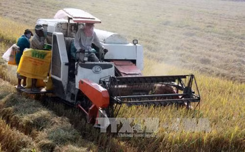 Xây dựng lộ trình giảm phát thải khí nhà kính ảnh 1