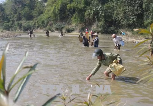 Điện Biên: Vỡ bể chất thải của nhà máy tinh bột sắn, suối Nậm Núa ô nhiễm nghiêm trọng ảnh 2