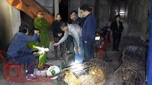 Hà Tĩnh triệt phá nhóm trộm chó quy mô lớn ảnh 1
