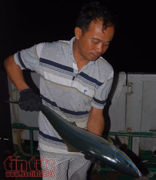 Trải nghiệm câu cá ở Trường Sa ảnh 1