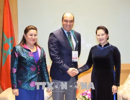Thúc đẩy hợp tác kinh tế, thương mại giữa Việt Nam - Maroc ảnh 1
