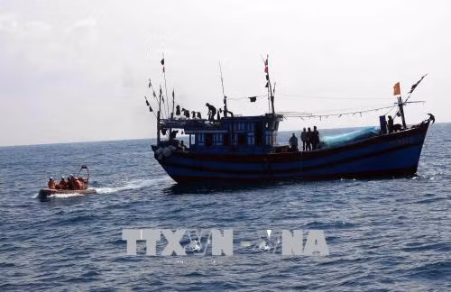 Kịp thời đưa thuyền viên bị bệnh trên biển về đất liền điều trị ảnh 1