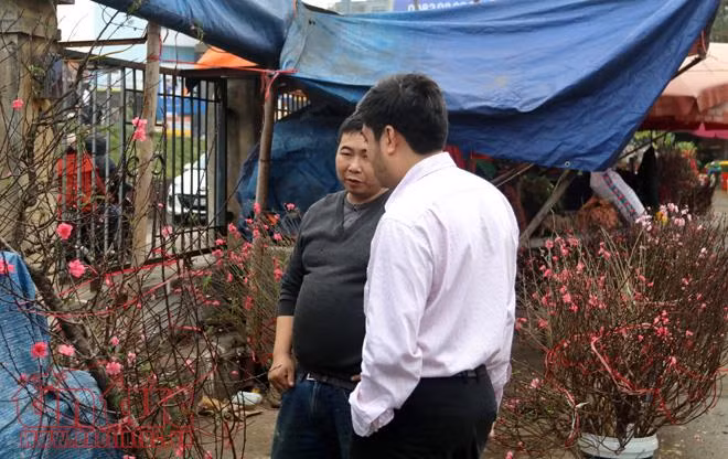 Đào Nhật Tân khoe sắc, hút người chơi Tết sớm ảnh 4