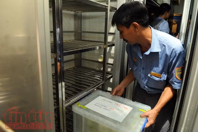 Trải nghiệm tàu chất lượng cao “5 sao” như đi máy bay ảnh 8