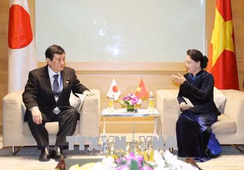 Chủ tịch Quốc hội Nguyễn Thị Kim Ngân tiếp Trưởng đoàn Nghị viện Nhật Bản ảnh 1