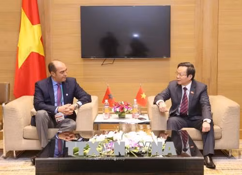Phó Chủ tịch Quốc hội Phùng Quốc Hiển tiếp Đoàn đại biểu Vương quốc Maroc ảnh 1