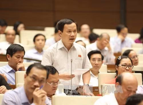 Vẫn chưa quy định rõ trách nhiệm bảo vệ rừng của các bên ảnh 1