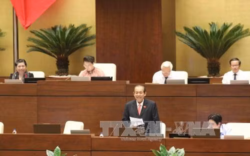 Phó Thủ tướng Trương Hòa Bình: Ai có tư duy nhiệm kỳ thì người đó không xứng đáng với vị trí của mình. ảnh 1