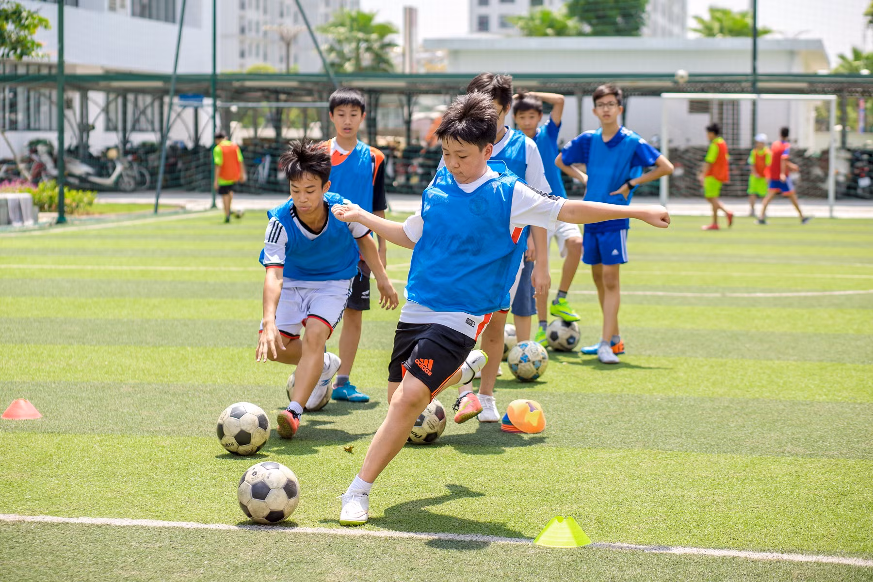 Chuỗi trải nghiệm sống động tại trại hè Vinschool 2017 ảnh 3
