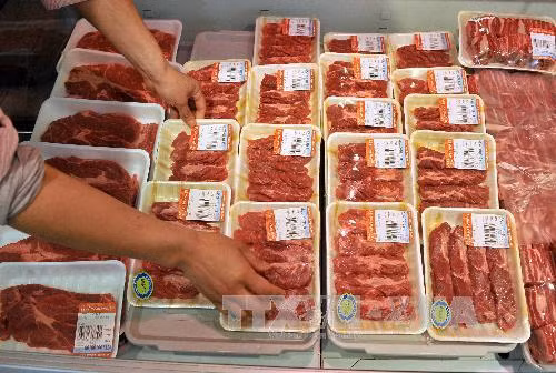 Nhập khẩu tăng đột biến, kiểm soát chặt ô tô, thịt ngoại ảnh 1