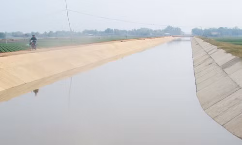 Những dòng kênh xanh cho những mùa vàng bội thu vùng Đồng Tháp Mười ảnh 1