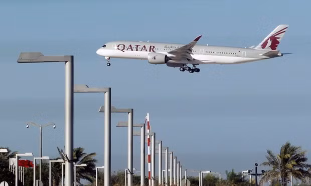 4.000 con bò sẽ 'bay' tới Qatar để tiếp tế sữa ảnh 1