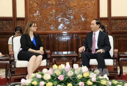 Quan hệ Việt Nam - Israel đã có những bước phát triển quan trọng ảnh 1