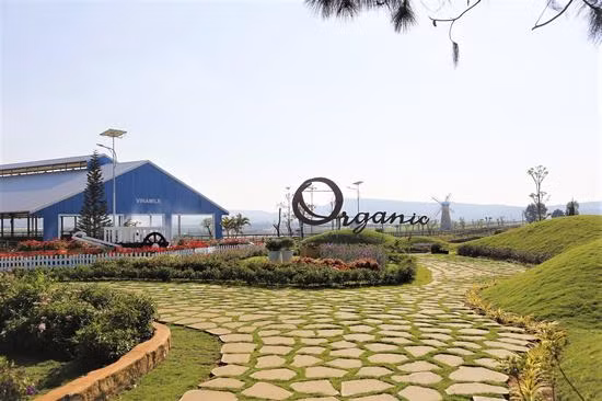 Vinamilk 6 năm là doanh nghiệp hiệu quả nhất Việt Nam ảnh 2
