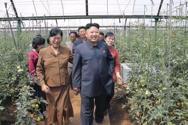 Hé lộ những bí ẩn về đời sống nông thôn Triều Tiên ảnh 1