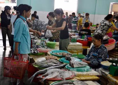 Dân Đà Nẵng bớt ăn cá trước tin cá chết hàng loạt ảnh 1