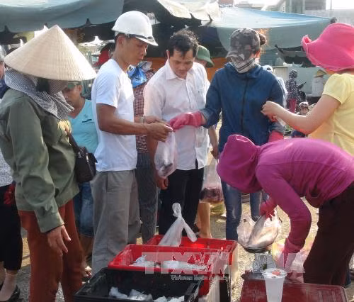 Bộ trưởng kêu gọi người dân yên tâm ăn cá biển khơi xa ảnh 1