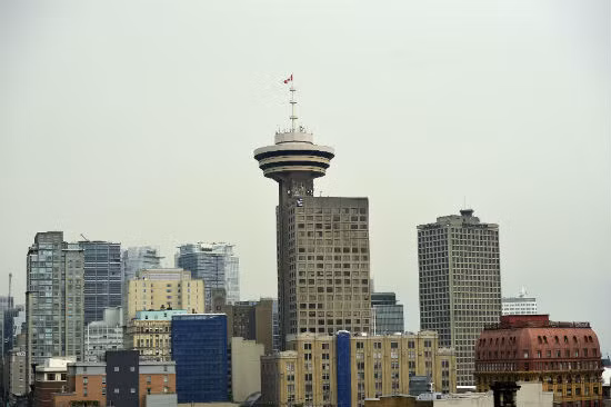 Kinh tế Canada đảo chiều giảm nhẹ ảnh 1