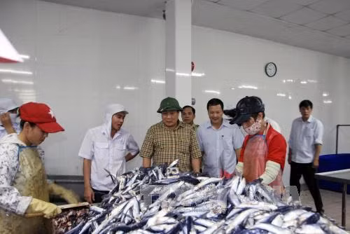 Quảng Trị họp bàn gỡ khó cho ngư dân ảnh 1