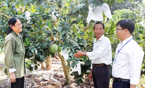 Tận tâm mang vốn đến với người nghèo ảnh 2