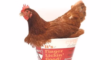 KFC bán sơn móng tay... hương vị gà rán ảnh 1
