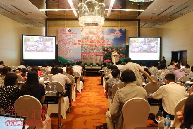 Hà Nội và tỉnh Fukuoka (Nhật Bản) hợp tác phát triển nông nghiệp công nghệ cao ảnh 6